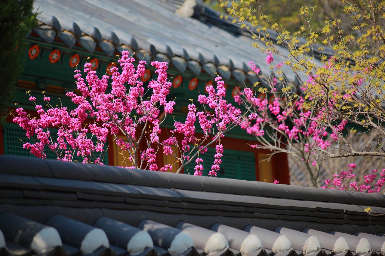 한옥 한달살기