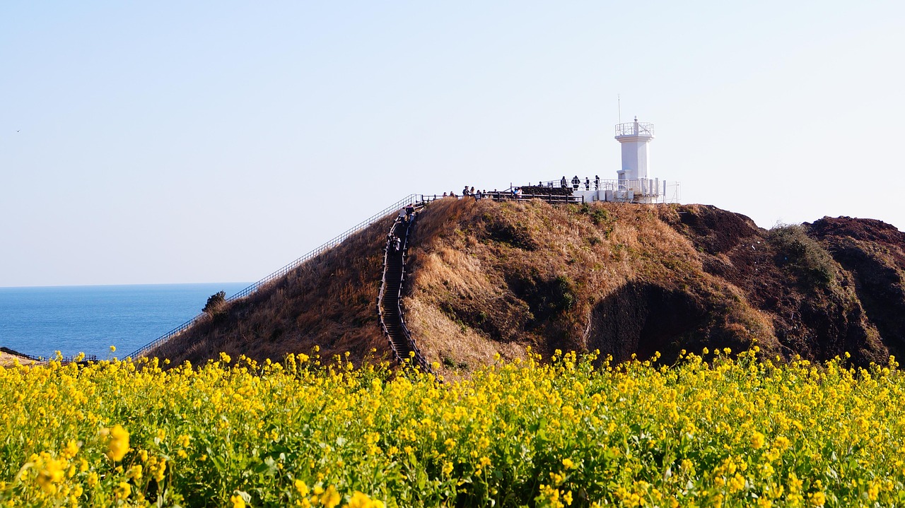 제주도 가을여행