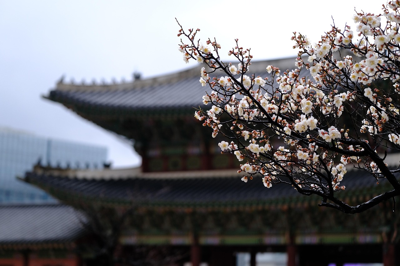 한옥 한달살기