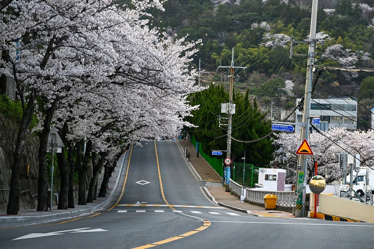 부산 놀거리